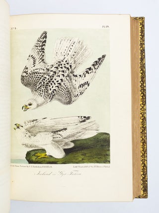 THE BIRDS OF AMERICA, FROM DRAWINGS MADE IN THE UNITED STATES AND THEIR TERRITORIES.