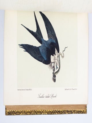 THE BIRDS OF AMERICA, FROM DRAWINGS MADE IN THE UNITED STATES AND THEIR TERRITORIES.