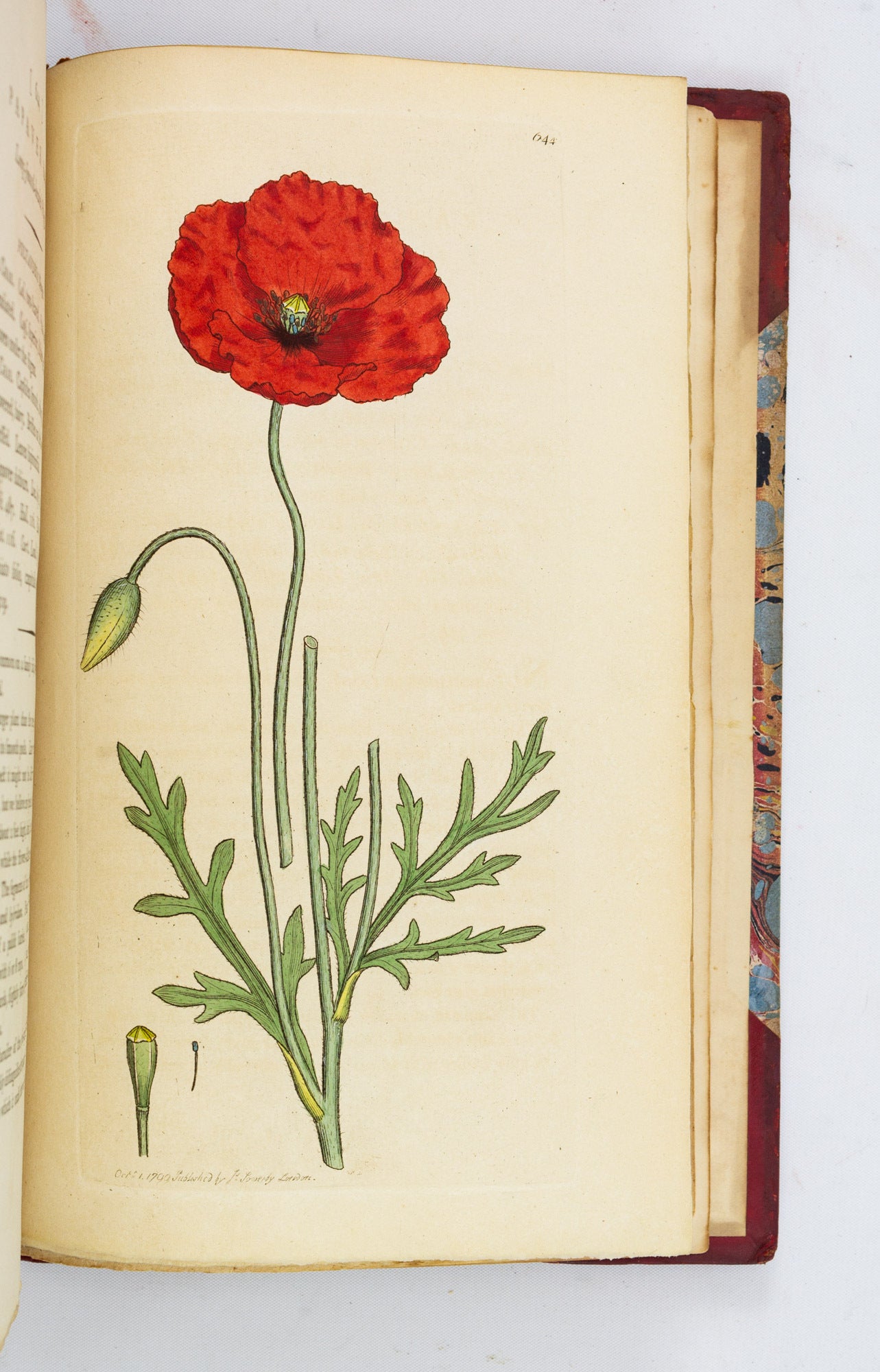 ENGLISH BOTANY; OR, COLOURED FIGURES OF BRITISH PLANTS | JAMES