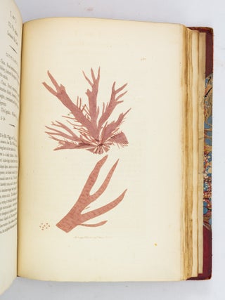 ENGLISH BOTANY; OR, COLOURED FIGURES OF BRITISH PLANTS.