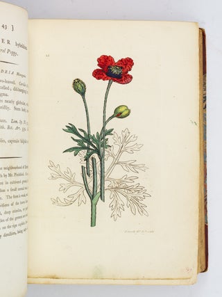 ENGLISH BOTANY; OR, COLOURED FIGURES OF BRITISH PLANTS.