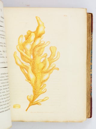 ENGLISH BOTANY; OR, COLOURED FIGURES OF BRITISH PLANTS.