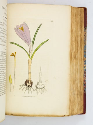 ENGLISH BOTANY; OR, COLOURED FIGURES OF BRITISH PLANTS.