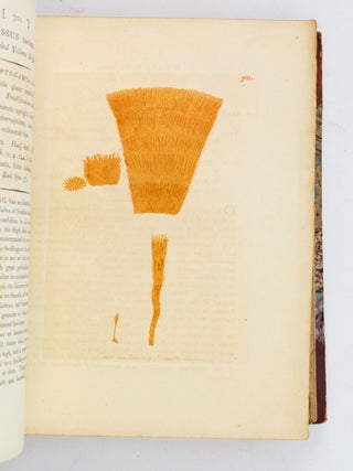 ENGLISH BOTANY; OR, COLOURED FIGURES OF BRITISH PLANTS.
