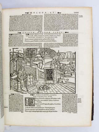 OPERA VIRGILIANA CUM DECEM COMMENTIS.