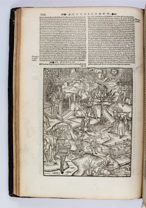 OPERA VIRGILIANA CUM DECEM COMMENTIS.