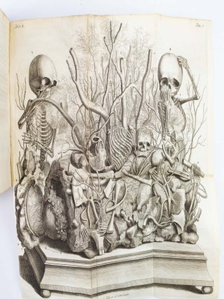 THESAURUS ANATOMICUS -- ANATOMISCH CABINET.