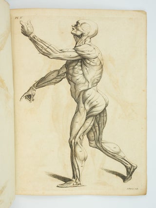 A COMPENDIOUS TREATISE OF ANATOMY, ADAPTED TO THE ARTS OF DESIGNING, PAINTING, AND SCULPTURE: ON EIGHT FOLIO COPPER PLATES.