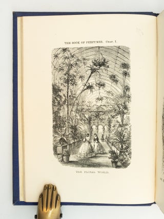 THE BOOK OF PERFUMES.