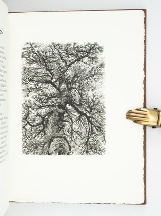 BEYOND HAMMONTON: SOUTH JERSEY POEMS AND WOOD ENGRAVINGS.
