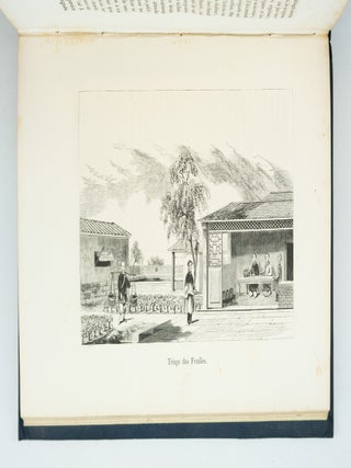 MONOGRAPHIE DU THÉ. DESCRIPTION BOTANIQUE, TORRÉFACTION, COMPOSITION CHIMIQUE, PROPRIÉTÉS HYGIÈNIQUE DE CETTE FEUILLE.