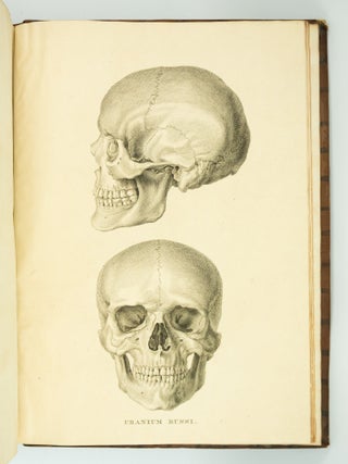 MUSEUM ANATOMICUM ACADAMIAE LUGDUNO-BATAVAE.