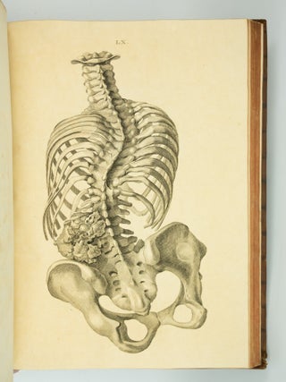 MUSEUM ANATOMICUM ACADAMIAE LUGDUNO-BATAVAE.
