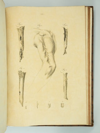 MUSEUM ANATOMICUM ACADAMIAE LUGDUNO-BATAVAE.