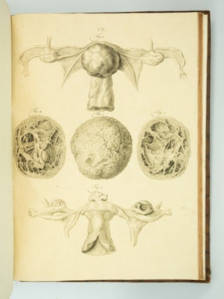 MUSEUM ANATOMICUM ACADAMIAE LUGDUNO-BATAVAE.