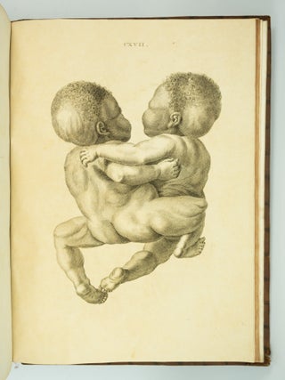 MUSEUM ANATOMICUM ACADAMIAE LUGDUNO-BATAVAE.
