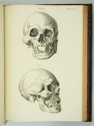 MUSEUM ANATOMICUM ACADAMIAE LUGDUNO-BATAVAE.