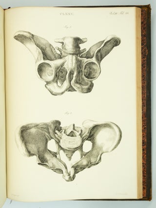 MUSEUM ANATOMICUM ACADAMIAE LUGDUNO-BATAVAE.
