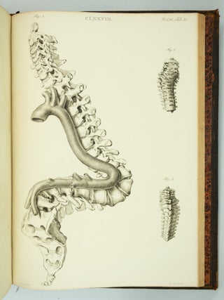 MUSEUM ANATOMICUM ACADAMIAE LUGDUNO-BATAVAE.
