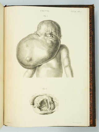 MUSEUM ANATOMICUM ACADAMIAE LUGDUNO-BATAVAE.