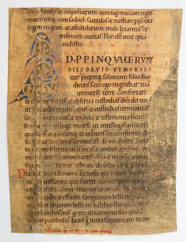 (ST20617a) TEXT FROM THE SEVENTH SUNDAY AFTER PENTECOST. WITH A. LARGE WHITE-VINE...