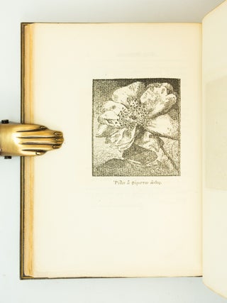 ROS ROSARUM EX HORTO POETARUM: DEW OF THE EVER-LIVING ROSE GATHERED FROM THE POETS' GARDEN OF MANY LANDS BY "E. V. B."