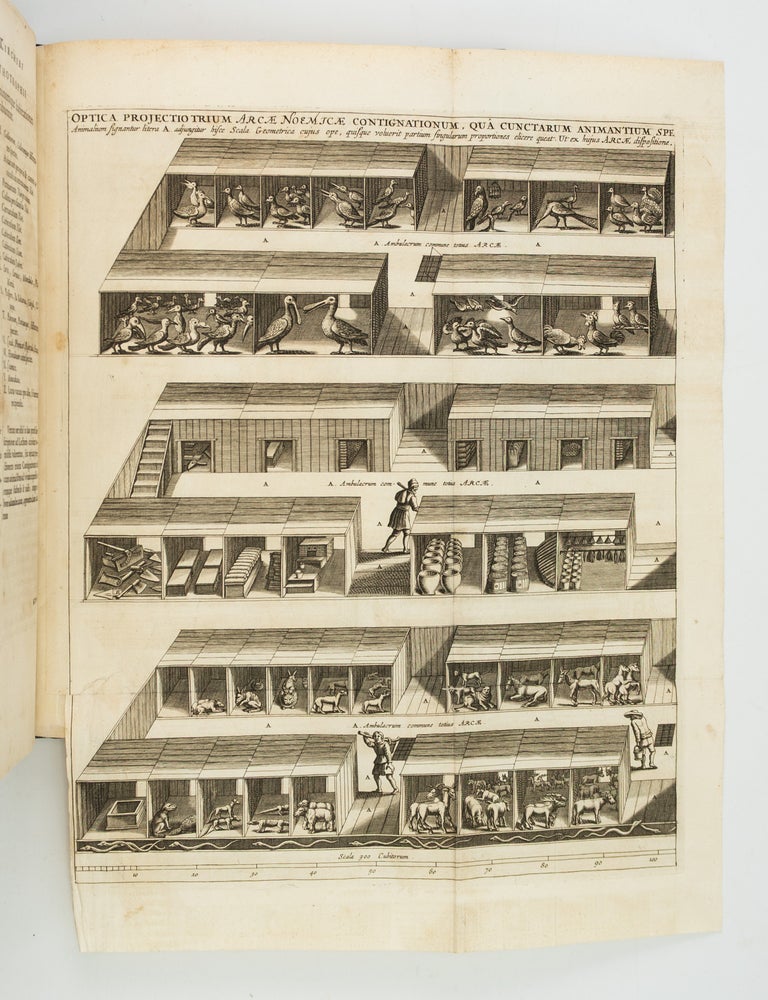 (ST20713) ARCA NOË, IN TRES LIBROS DIGESTA, QUORUM: I. DE REBUS QUAE ANTE DILUVIUM, II....