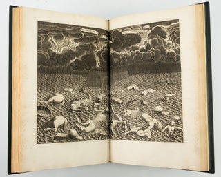 ARCA NOË, IN TRES LIBROS DIGESTA, QUORUM: I. DE REBUS QUAE ANTE DILUVIUM, II. DE IIS, QUÆ IPSO DILUVIO EJUSQUE DURATIONE, III. DE IIS, QUÆ POST DILUVIUM A NOËMO GESTA SUNT, QUAE OMNIA NOVA METHODO, NEC NON SUMMA ARGUMENTORUM VARIETATE, EXPLICANTUR, & DEMONSTRANTUR.