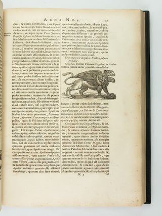 ARCA NOË, IN TRES LIBROS DIGESTA, QUORUM: I. DE REBUS QUAE ANTE DILUVIUM, II. DE IIS, QUÆ IPSO DILUVIO EJUSQUE DURATIONE, III. DE IIS, QUÆ POST DILUVIUM A NOËMO GESTA SUNT, QUAE OMNIA NOVA METHODO, NEC NON SUMMA ARGUMENTORUM VARIETATE, EXPLICANTUR, & DEMONSTRANTUR.