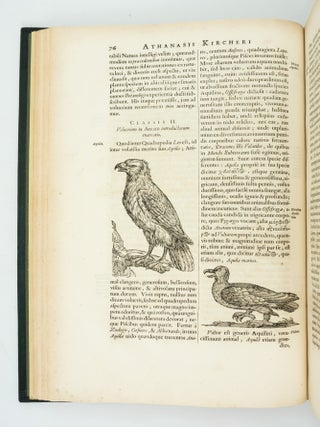 ARCA NOË, IN TRES LIBROS DIGESTA, QUORUM: I. DE REBUS QUAE ANTE DILUVIUM, II. DE IIS, QUÆ IPSO DILUVIO EJUSQUE DURATIONE, III. DE IIS, QUÆ POST DILUVIUM A NOËMO GESTA SUNT, QUAE OMNIA NOVA METHODO, NEC NON SUMMA ARGUMENTORUM VARIETATE, EXPLICANTUR, & DEMONSTRANTUR.