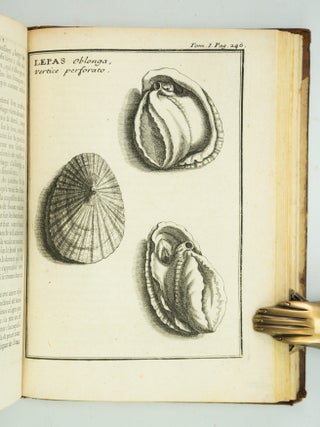 RELATION D'UN VOYAGE DU LEVANT, FAIT PAR ORDRE DU ROY.