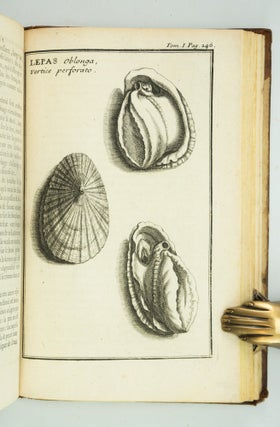 RELATION D'UN VOYAGE DU LEVANT, FAIT PAR ORDRE DU ROY.