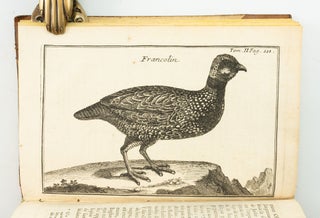 RELATION D'UN VOYAGE DU LEVANT, FAIT PAR ORDRE DU ROY.
