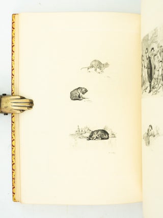 LE DERNIER ABBÉ.