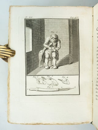 INSTRUCTION POUR LES BERGERS ET POUR LES PROPRIÉTAIRES DE TROUPEAUX; AVEC DES AUTRES OUVRAGES SUR LES MOUTONS ET SUR LES LAINES.