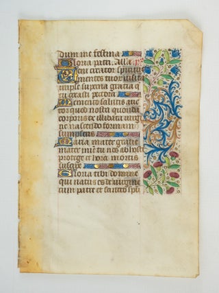 TEXT IN LATIN AND/OR FRENCH.
