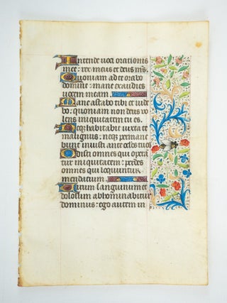 TEXT IN LATIN.