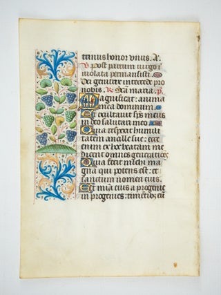 TEXT IN LATIN.