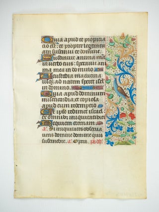 TEXT IN LATIN AND/OR FRENCH.