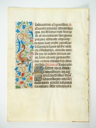 TEXT IN LATIN AND/OR FRENCH.