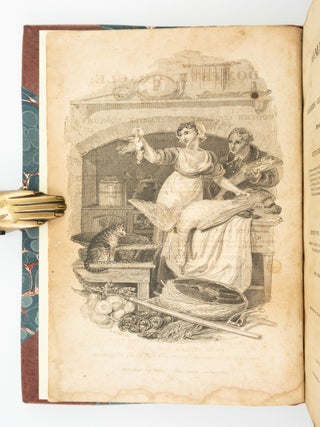 THE DOMESTIC ORACLE.