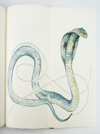 A MARK TWAIN BESTIARY. EXCERPTS FROM FOLLOWING THE EQUATOR.