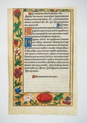 TEXT IN LATIN.