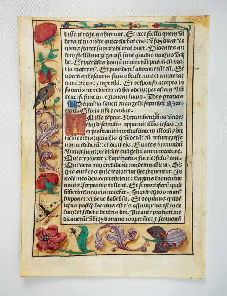 (ST20972d) TEXT IN LATIN. VELLUM PRINTED LEAF, WITH A. BEAUTIFUL HAND-PAINTED...