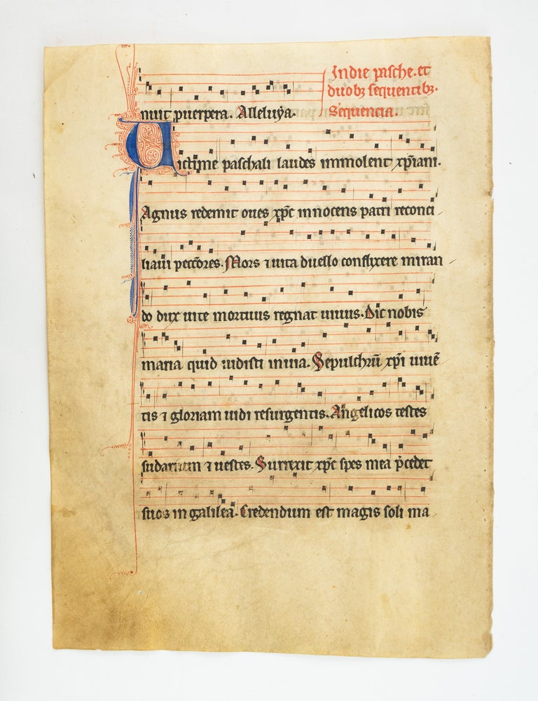 (ST21065B) TEXT IN LATIN. OFFERED INDIVIDUALLY LEAVES FROM A. MEDIEVAL VELLUM MANUSCRIPT...