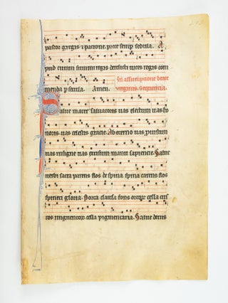 TEXT IN LATIN.