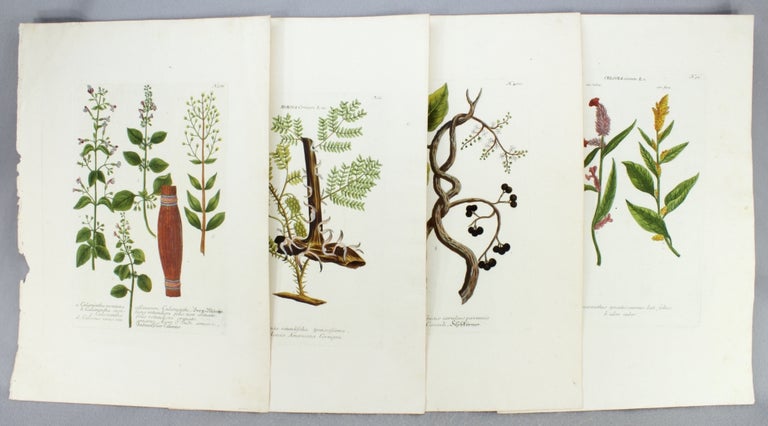 (ST7597) A COLLECTION OF 27 BOTANICAL PLATES FROM "PHYTANTHOZA ICONOGRAPHIE." BOTANICAL PLATES, JOHANN W. WEINMANN.