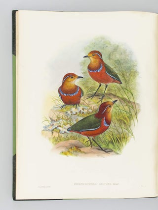 MONOGRAPH OF THE PITTIDAE.